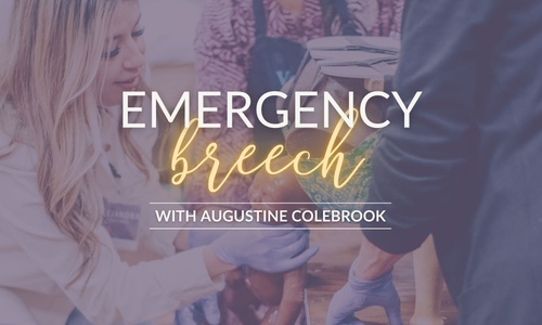 Product image for AP Midwifery: Emergency Breech Birth