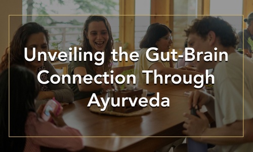 Product image for Unveiling the Gut-Brain Connection Through Ayurveda