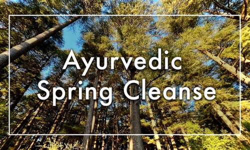Product image for Ayurvedic Spring Cleanse