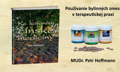 Product image for Používanie bylinných zmesí v praxi Čínskej medicíny