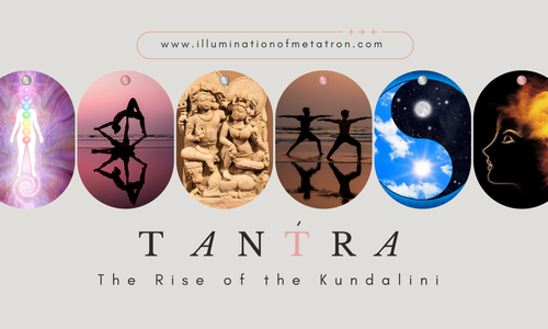 Product image for Tantra