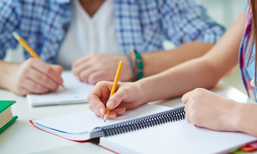 Product image for Supporting Gifted, Talented, and Able Students - Masterclass (MGF001)