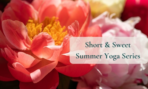Product image for Short & Sweet Summer Yoga Series