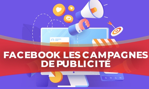 Product image for IGTC01MD - Facebook : Les campagnes de publicité (FR)
