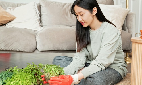 Product image for Microgreens Farming