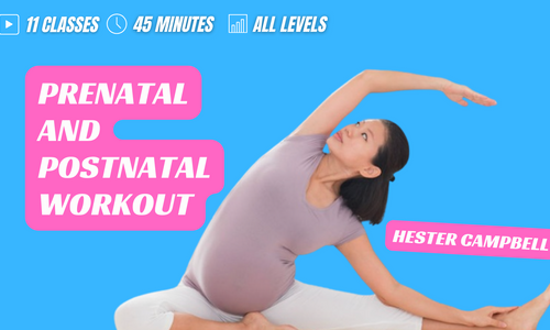Product image for Prenatal And Postnatal Workout