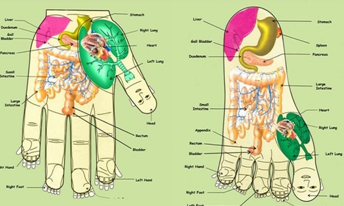 Product image for Su Jok - mikrosystém ruky a nohy