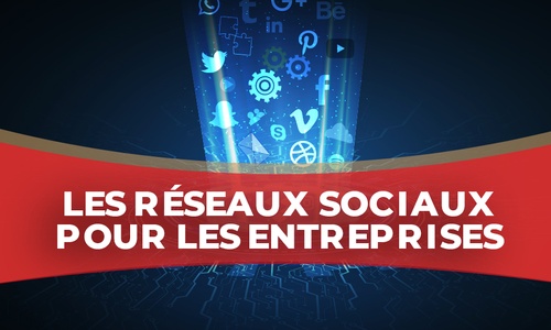 Product image for IGTC01CM - Les réseaux sociaux pour les entreprises (FR)