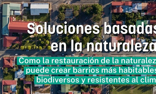 Product image for Soluciones basadas en la naturaleza: Cómo la restauración de la naturaleza puede hacer barrios más habitables, biodiversos y resilientes
