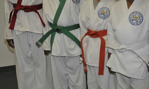 Product image for Color Belt Certification
