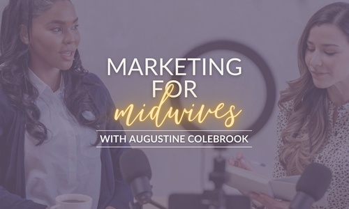 Product image for Birth Biz: Marketing for Midwives