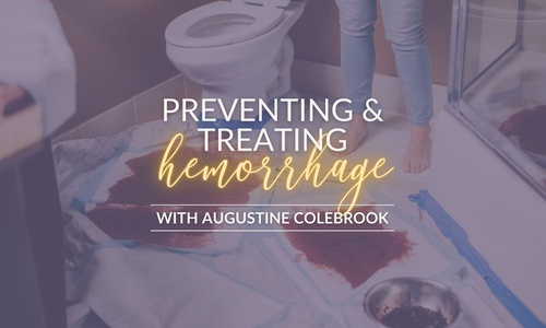 Product image for Core Midwifery: Preventing & Treating Hemorrhage