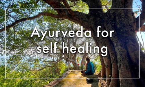 Product image for Ayurveda for self healing