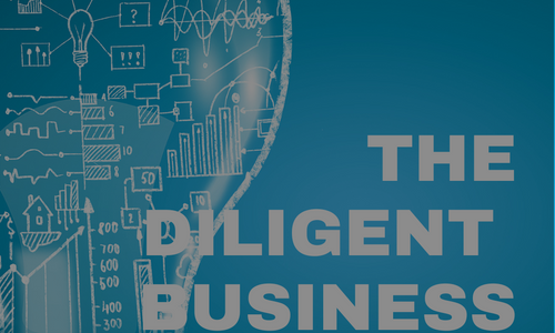 Product image for The Diligent Business Owner (eBook)