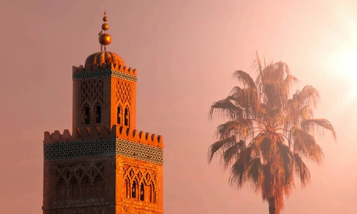 Product image for Fiqh 301: Inheritance Law