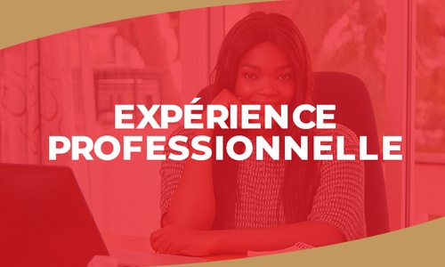 Product image for IGTC01HR - Expérience professionnelle (FR)