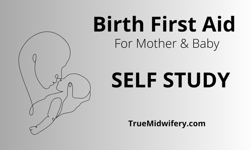 Product image for Birth First Aid for Mother and Baby (SELF STUDY)