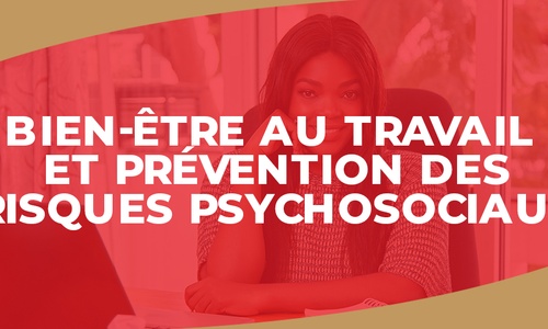 Product image for IGTC01RH  - Bien-être au travail et prévention des risques psychosociaux (FR)