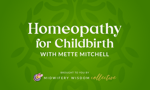 Product image for Homeopathy for Childbirth