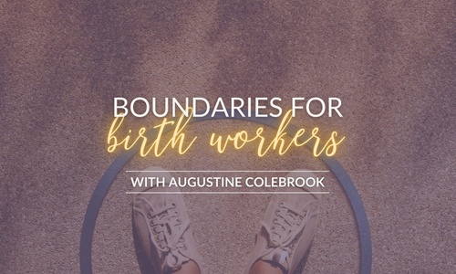 Product image for Boundaries for Birth Workers