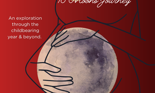 Product image for WellMama Way 13 Moons Journey