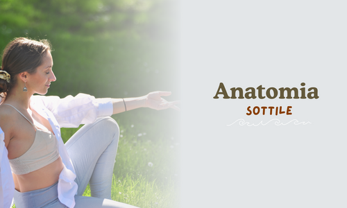 Product image for Anatomia sottile