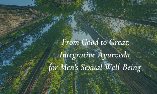 Product image for From Good to Great: Enhancing Men's Sexual Well-Being with Integrative Āyurveda