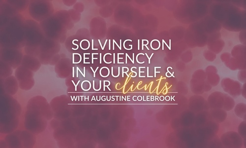 Product image for Solving Iron Deficiency in Yourself and Your Clients