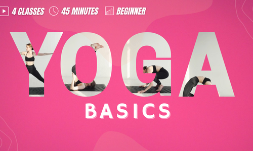 Product image for Yoga Basics