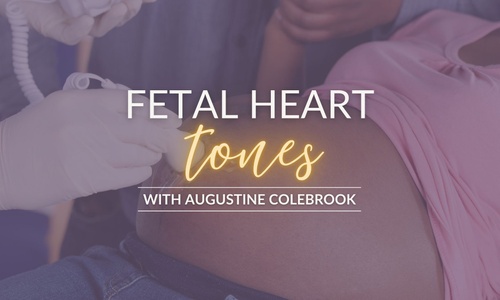 Product image for Core Midwifery: FHT Monitoring