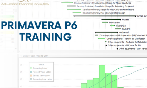 Product image for Rapid Mastery of Primavera P6 in 30 Minutes