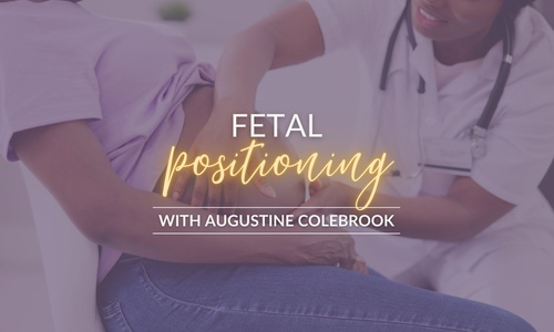 Product image for Core Midwifery: Fetal Positioning
