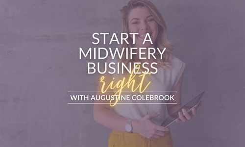 Product image for Birth Biz: Start Right
