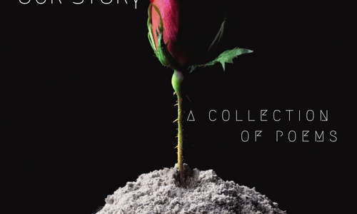 Product image for Beauty in the Ashes (eBook)