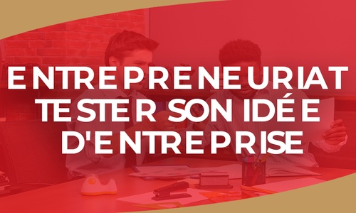 Product image for IGTC01ENT - Entrepreneuriat  Tester son idée d'entreprise (FR)