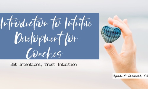 Product image for Introduction to Intuitive Development 