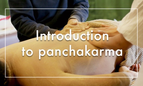Product image for Introduction to panchakarma