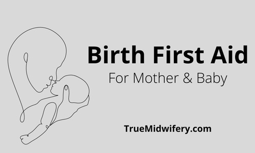 Product image for  Birth First Aid for Mother and Baby ( MARCH 2025)