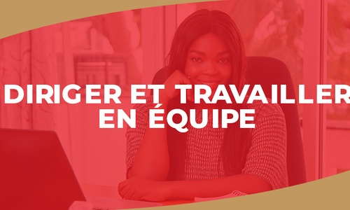 Product image for IGTC01RH - Diriger et travailler en équipe (FR)