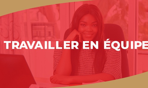 Product image for IGTC01RH - Travailler en équipe (FR)