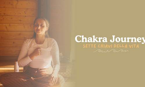 Product image for Chakra Journey