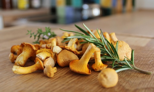 Product image for Mushroom Farming