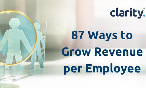 Product image for 87 Ways to Grow Revenue per Employee