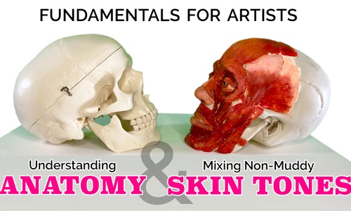 Product image for Anatomy for Portraiture & Identifying & Mixing Skintones