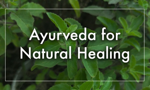 Product image for Ayurveda for Natural Healing
