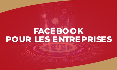 Product image for IGTC01MD - Facebook pour les entreprises (FR)