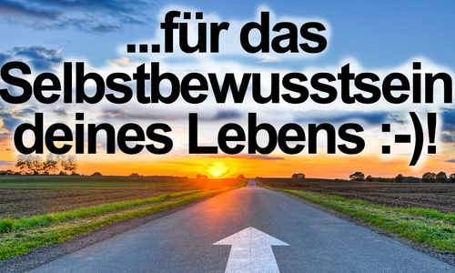 Product image for Selbstbewusst ausgesorgt: Dein 17 Schritte Online-Traininar®​​