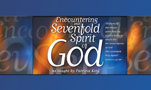 Product image for Encountering the Sevenfold Spirit of God