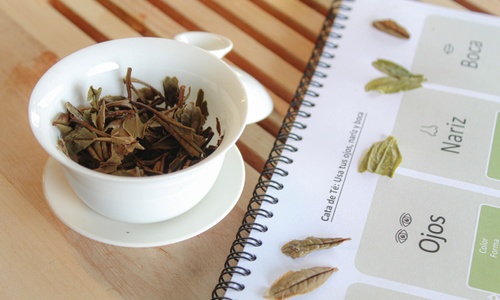 Product image for Tea Fundamentals