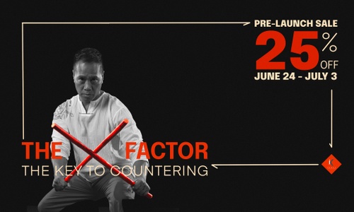 Product image for X Factor: The Key to Countering